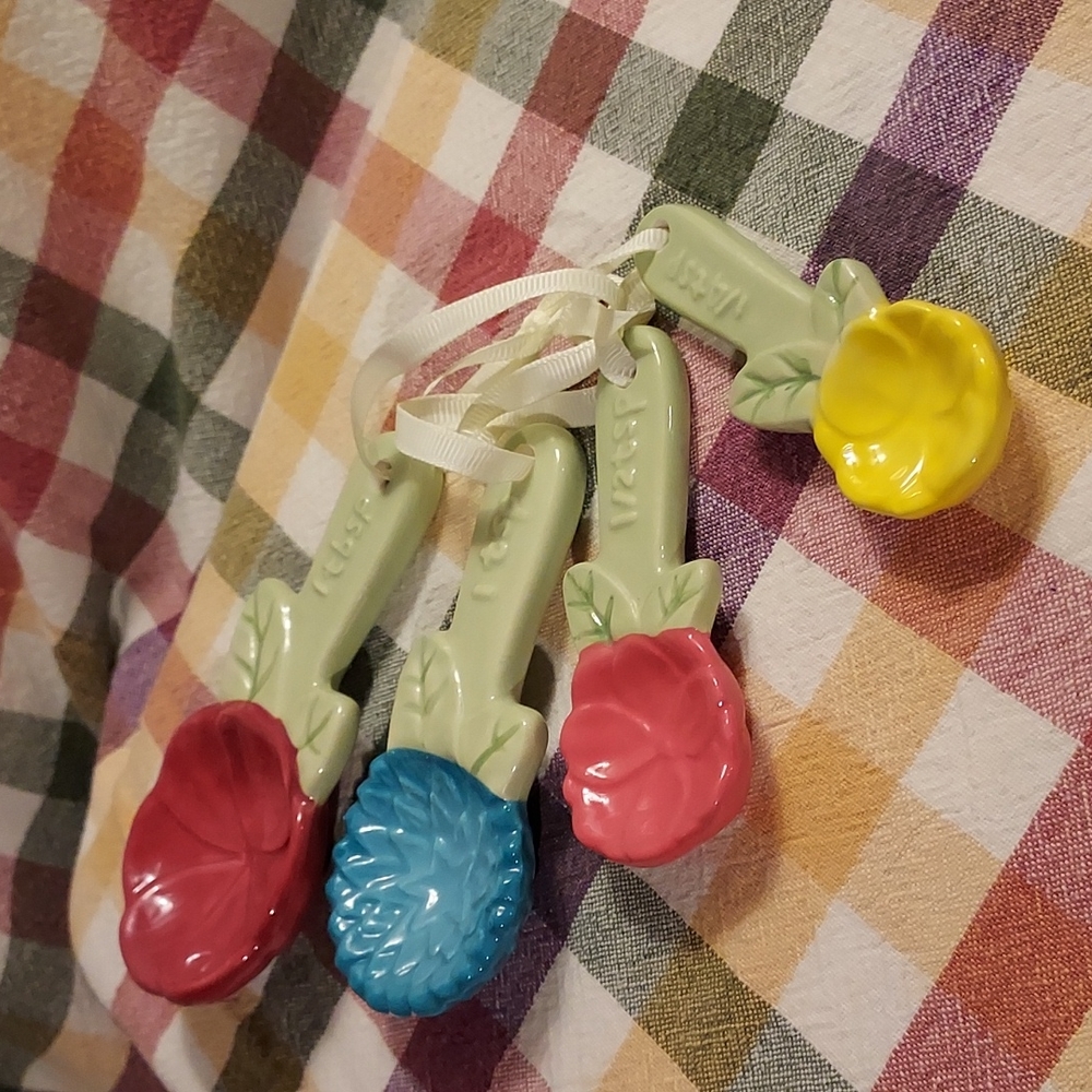 Pioneer Women measuring spoons